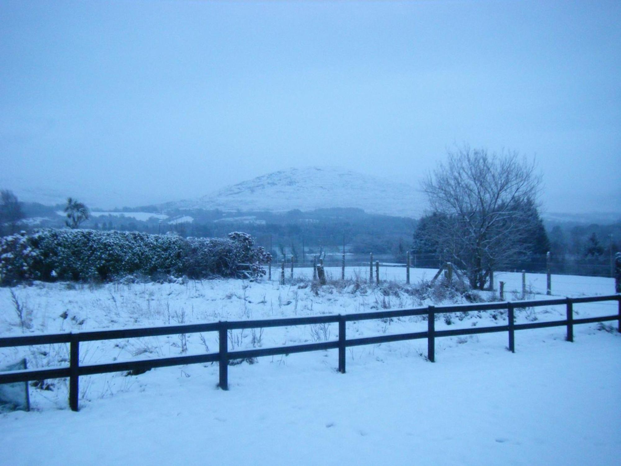 Ashfield B&B Kenmare Bagian luar foto